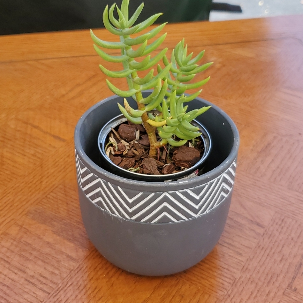 NEW! Cute AZTEC plant pot